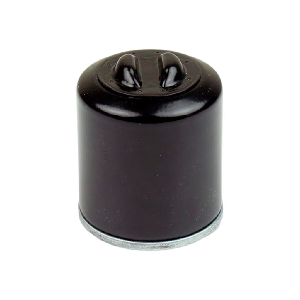 FILTRO ACEITE ATHENA (VOGE CU250)