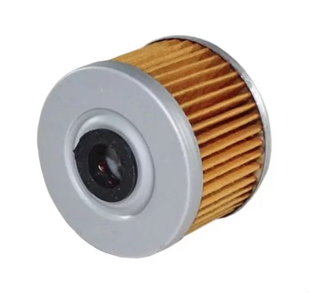 FILTRO DE ACEITE VEDAMOTORS HF113