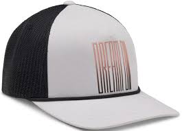 GORRA FOX W RS DREAM TRUCKER HAT