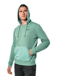 POLERON ALPINESTARS ROOTED HOODIE
