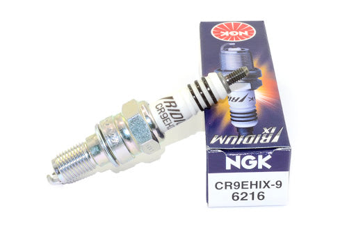 BUJIA NGK IRIDIUM CR9EHIX-9